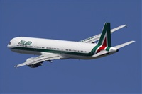 Jos Miguel Bernases - Noisy Spotters. Click to see full size photo