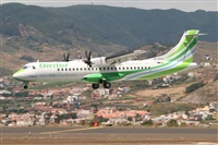 Alfonso Sols - Asociacin Canary Islands Spotting. Click to see full size photo