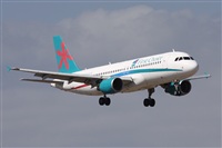 Alfonso Sols - Asociacin Canary Islands Spotting. Haz click para ampliar