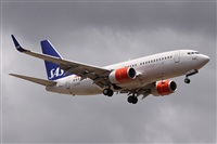 Alfonso Sols - Asociacin Canary Islands Spotting. Click to see full size photo