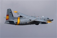 JF Alemn-GranCanariaSpotters. Click to see full size photo