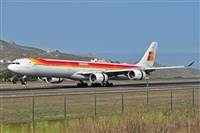 Miguel A. gueda Rguez.  (CANARY ISLANDS SPOTTING). Click to see full size photo