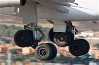 Gerardo A. Prez   Canary Islands Spotting. Click to see full size photo