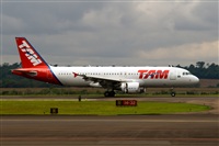 Javier de la Cruz - CANARY ISLANDS SPOTTING. Click to see full size photo