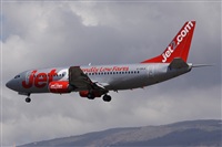 ©Alfonso Solís - Asociación Canary Islands Spotting. Click to see full size photo ©Alfonso Solís - Asociación Canary Islands Spotting. Click to see full size photo