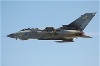 Justo Miguel Prieto. ( Malaga Spotters). Click to see full size photo