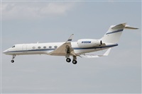 Rubn C.. Click to see full size photo