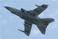 Justo Miguel Prieto. ( Malaga Spotters). Click to see full size photo
