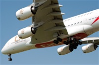 Miguel Martin Cordeiro - Iberian Spotters. Haz click para ampliar