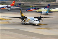 Toms Asensio - GranCanariaSpotters. Click to see full size photo
