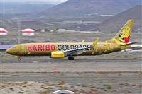 Miguel A. gueda Rguez.  (CANARY ISLANDS SPOTTING). Click to see full size photo