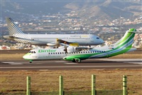 Nacho Rodriguez - Canary Islands Spotting. Click to see full size photo