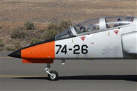 Adrin Alonso Lemes - Lanzarote Spotters. Click to see full size photo