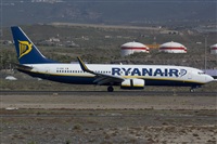Luciano Fumero( freedom spotter)canary island spotting. Haz click para ampliar