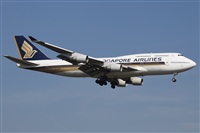 Miguel Alia - Noisy Spotters. Click to see full size photo