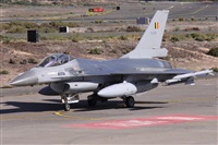 Alfonso Sols - Asociacin Canary Islands Spotting. Click to see full size photo