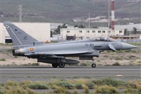 ©Alfonso Solís - Asociación Canary Islands Spotting. Click to see full size photo ©Alfonso Solís - Asociación Canary Islands Spotting. Click to see full size photo