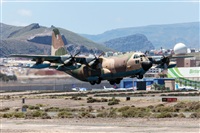 Florencio Martn Melin - Lanzarote Spotters. Click to see full size photo