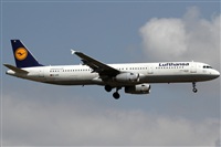 Rubn Gil - Noisy Spotters. Click to see full size photo