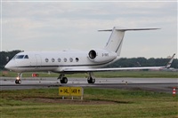 Rodrigo Carvalho - Noisy Spotters. Click to see full size photo
