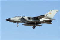 Adolfo Bento - Gran Canaria Spotters. Click to see full size photo