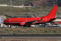 ©Alfonso Solís - Asociación Canary Islands Spotting. Click to see full size photo ©Alfonso Solís - Asociación Canary Islands Spotting. Click to see full size photo