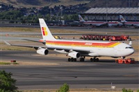 Miguel A. gueda Rguez.  (CANARY ISLANDS SPOTTING). Click to see full size photo