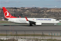 Alfonso Sols - Asociacin Canary Islands Spotting. Click to see full size photo