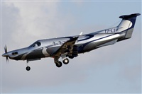 Rubn Gil - Noisy Spotters. Click to see full size photo