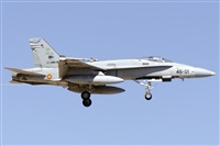 Paco Muoz Arencibia - Gran Canaria Spotters. Click to see full size photo