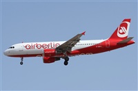 ©Alfonso Solís - Asociación Canary Islands Spotting. Click to see full size photo ©Alfonso Solís - Asociación Canary Islands Spotting. Click to see full size photo