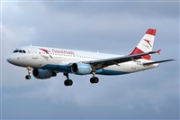 Adrin Alonso Lemes - Lanzarote Spotters. Click to see full size photo