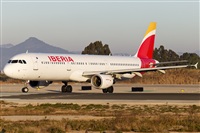 Rubn Gil - Noisy Spotters. Click to see full size photo