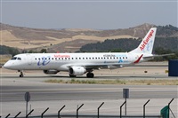 ©Alfonso Solís - Asociación Canary Islands Spotting. Click to see full size photo ©Alfonso Solís - Asociación Canary Islands Spotting. Click to see full size photo