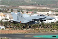 ©Adolfo Bento - Gran Canaria Spotters. Click to see full size photo ©Adolfo Bento - Gran Canaria Spotters. Click to see full size photo