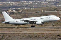 Alfonso Sols - Asociacin Canary Islands Spotting. Click to see full size photo
