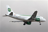 Nacho Rodriguez - Canary Islands Spotting. Click to see full size photo