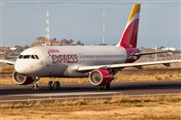 Javier de la Cruz - CANARY ISLANDS SPOTTING. Click to see full size photo