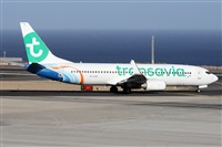 ©Alfonso Solís - Asociación Canary Islands Spotting. Click to see full size photo ©Alfonso Solís - Asociación Canary Islands Spotting. Click to see full size photo