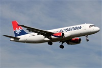 ©Alfonso Solís - Asociación Canary Islands Spotting. Click to see full size photo ©Alfonso Solís - Asociación Canary Islands Spotting. Click to see full size photo