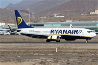 Alfonso Sols - Asociacin Canary Islands Spotting. Click to see full size photo