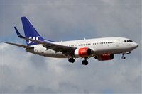 ©Alfonso Solís - Asociación Canary Islands Spotting. Click to see full size photo ©Alfonso Solís - Asociación Canary Islands Spotting. Click to see full size photo