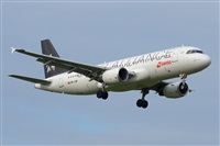 Miguel A. gueda Rguez.  (CANARY ISLANDS SPOTTING). Click to see full size photo