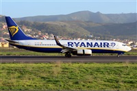 Miguel A. gueda Rguez.  (CANARY ISLANDS SPOTTING). Click to see full size photo