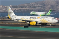 ©Adolfo Bento - Gran Canaria Spotters. Click to see full size photo ©Adolfo Bento - Gran Canaria Spotters. Click to see full size photo