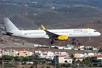 ©Adolfo Bento - Gran Canaria Spotters. Click to see full size photo ©Adolfo Bento - Gran Canaria Spotters. Click to see full size photo