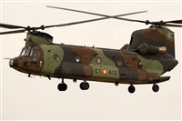 EC-ISM. Click to see full size photo