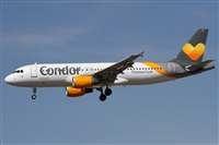 Alfonso Sols - Asociacin Canary Islands Spotting. Click to see full size photo