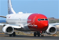 ©Alejandro H.L - Gran Canaria Spotters. Click to see full size photo ©Alejandro H.L - Gran Canaria Spotters. Click to see full size photo