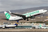 Alfonso Sols - Asociacin Canary Islands Spotting. Click to see full size photo
